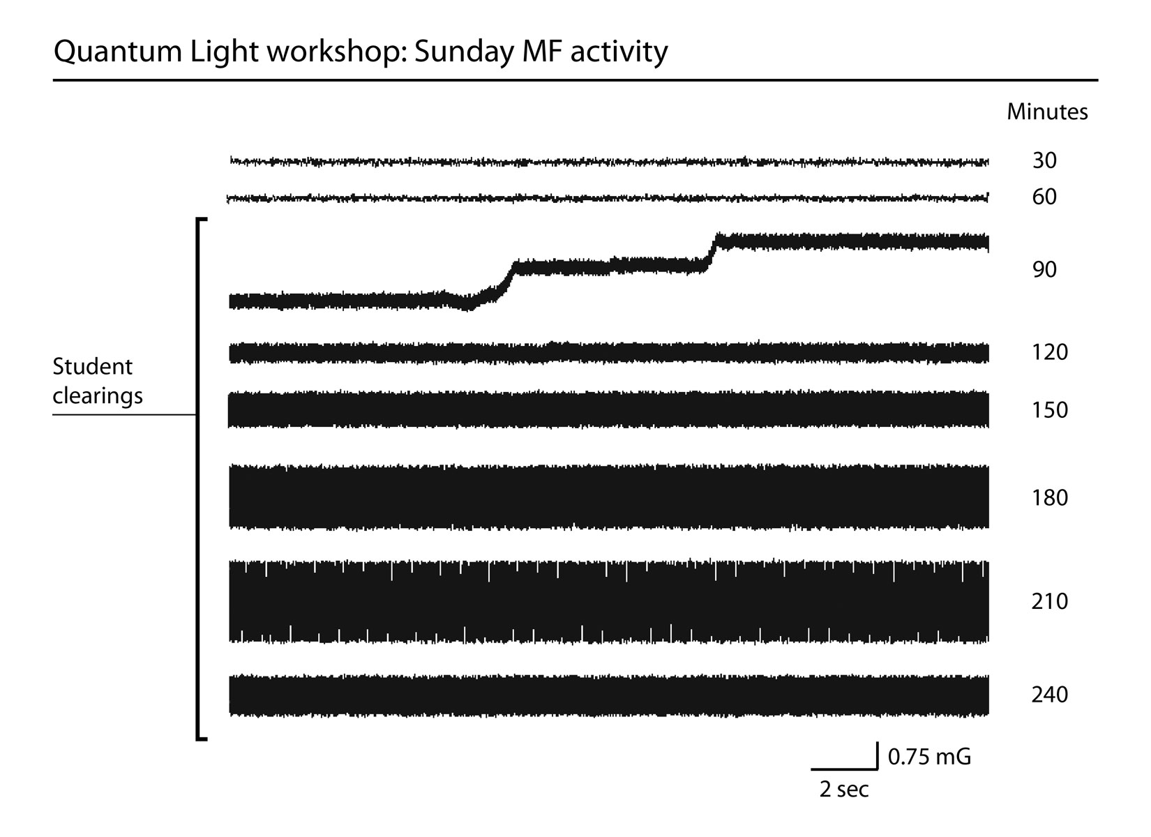 MF-Sunday2